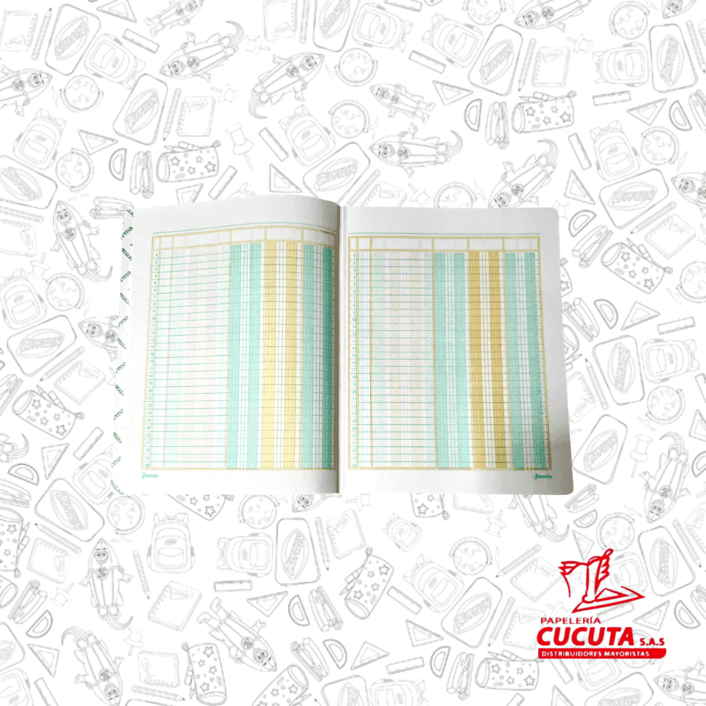 LIBRO CONTABILIDAD 1/2 OFICIO 80-3F NORMA R/F 500898 vista 2