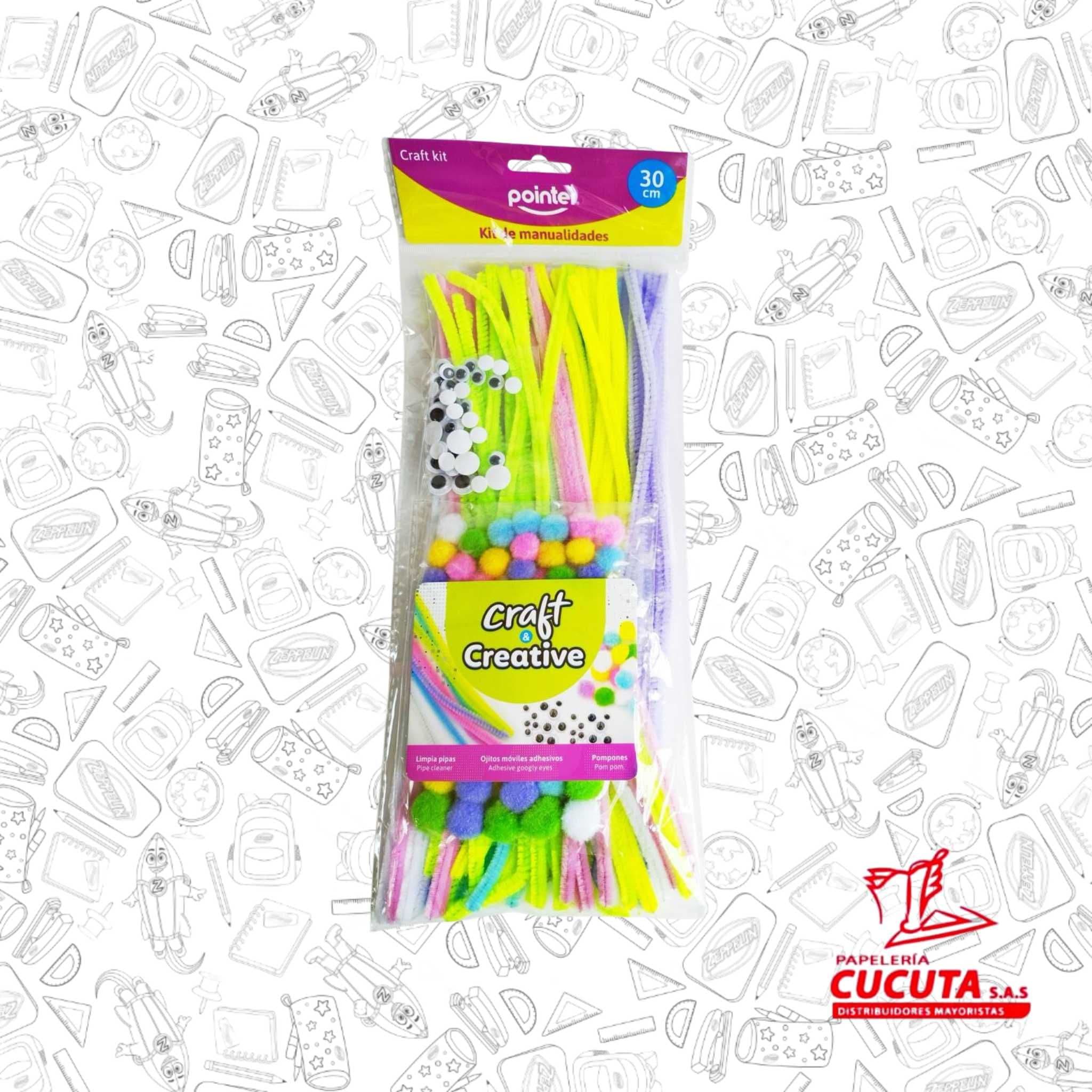 KIT MANUALIDADES LIMPIAPIPAS POMPONES Y OJITOS POINTER