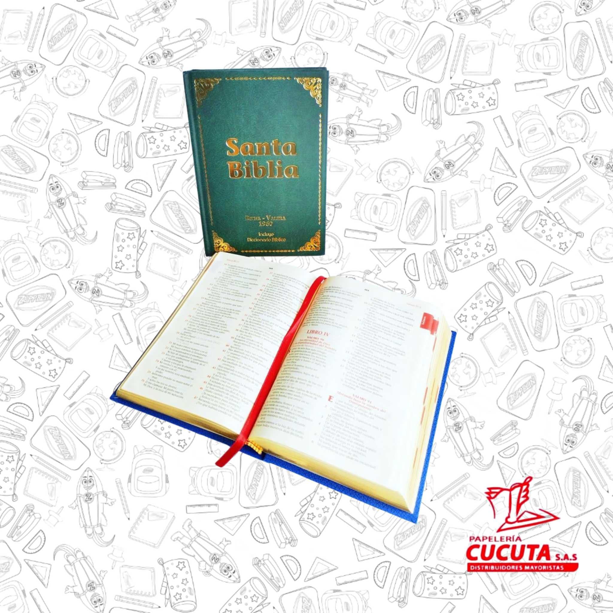 SANTA BIBLIA REINA VALERA NIKA
